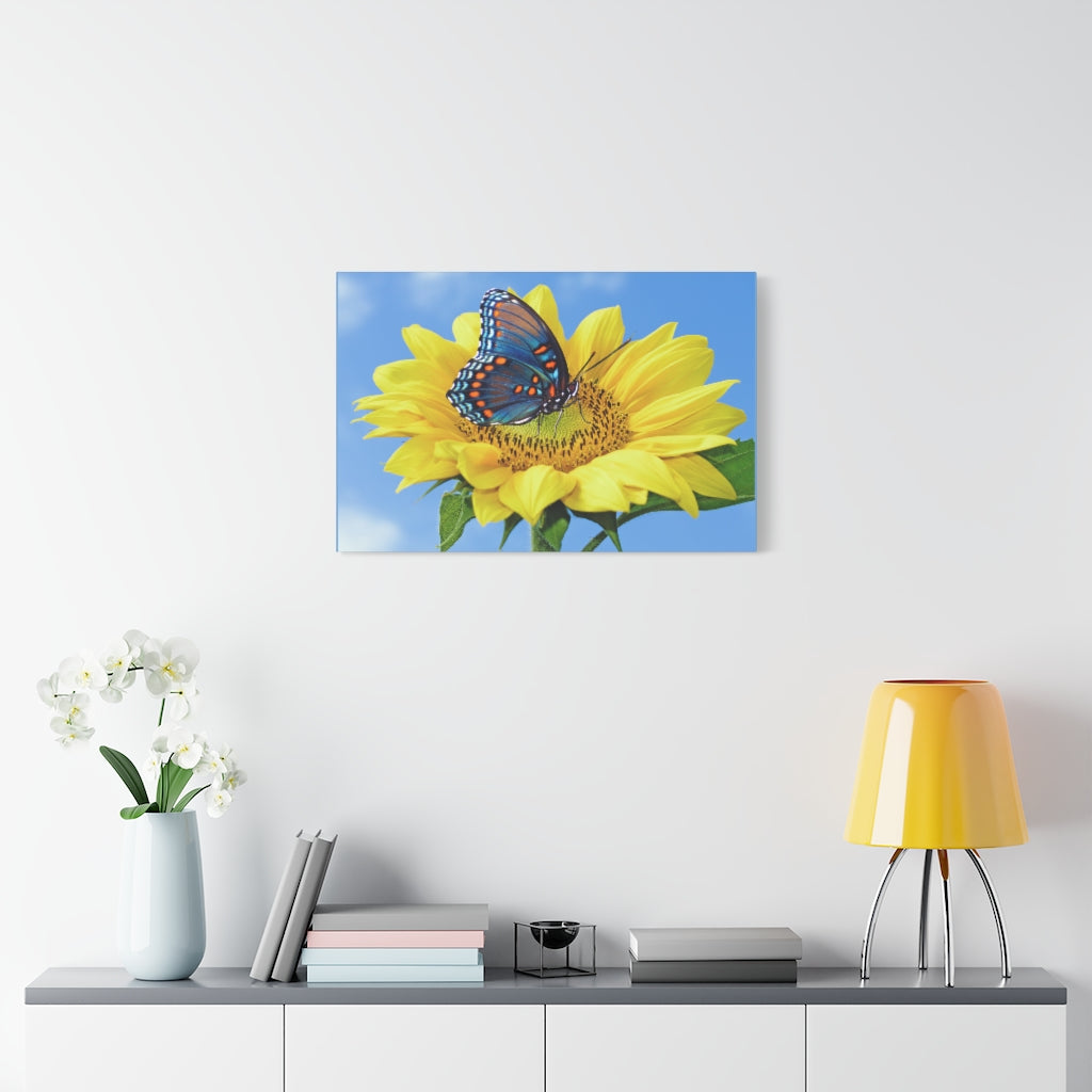 Sunflower and Butterfly Canvas