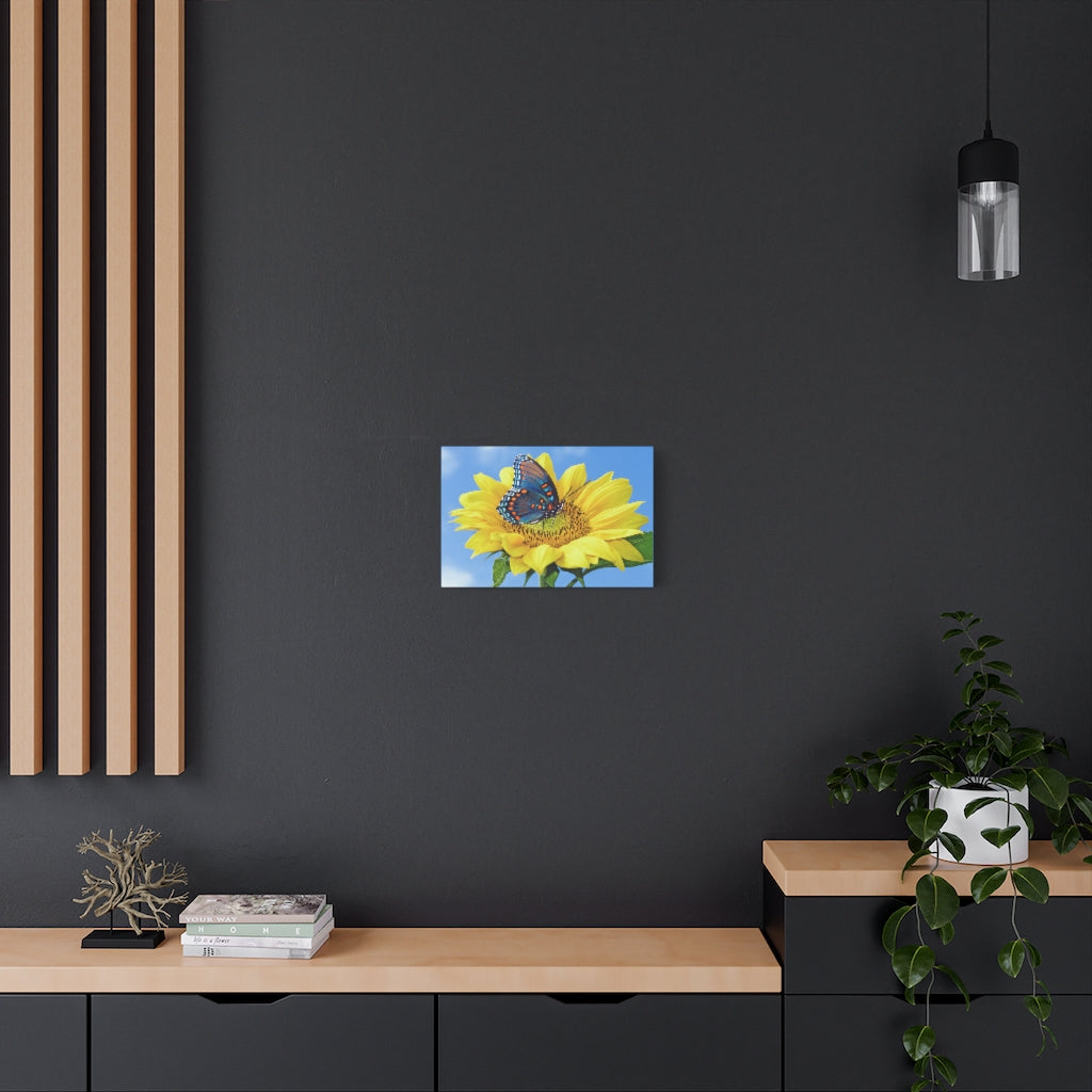 Sunflower and Butterfly Canvas