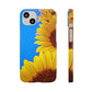 Snap Cases