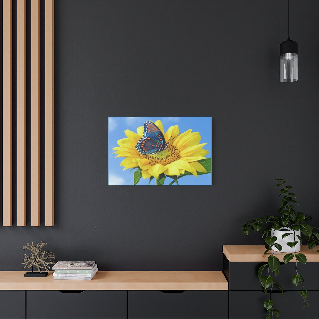 Sunflower and Butterfly Canvas