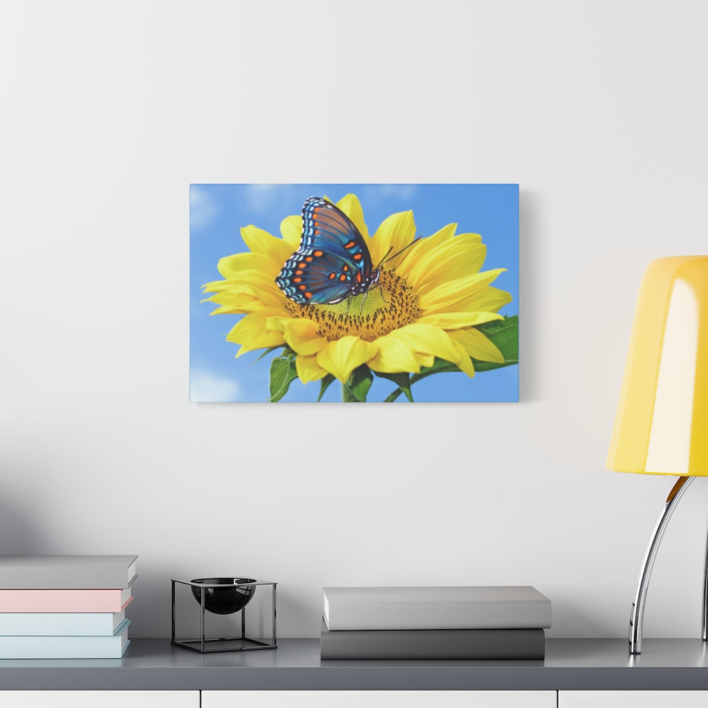 Sunflower and Butterfly Canvas