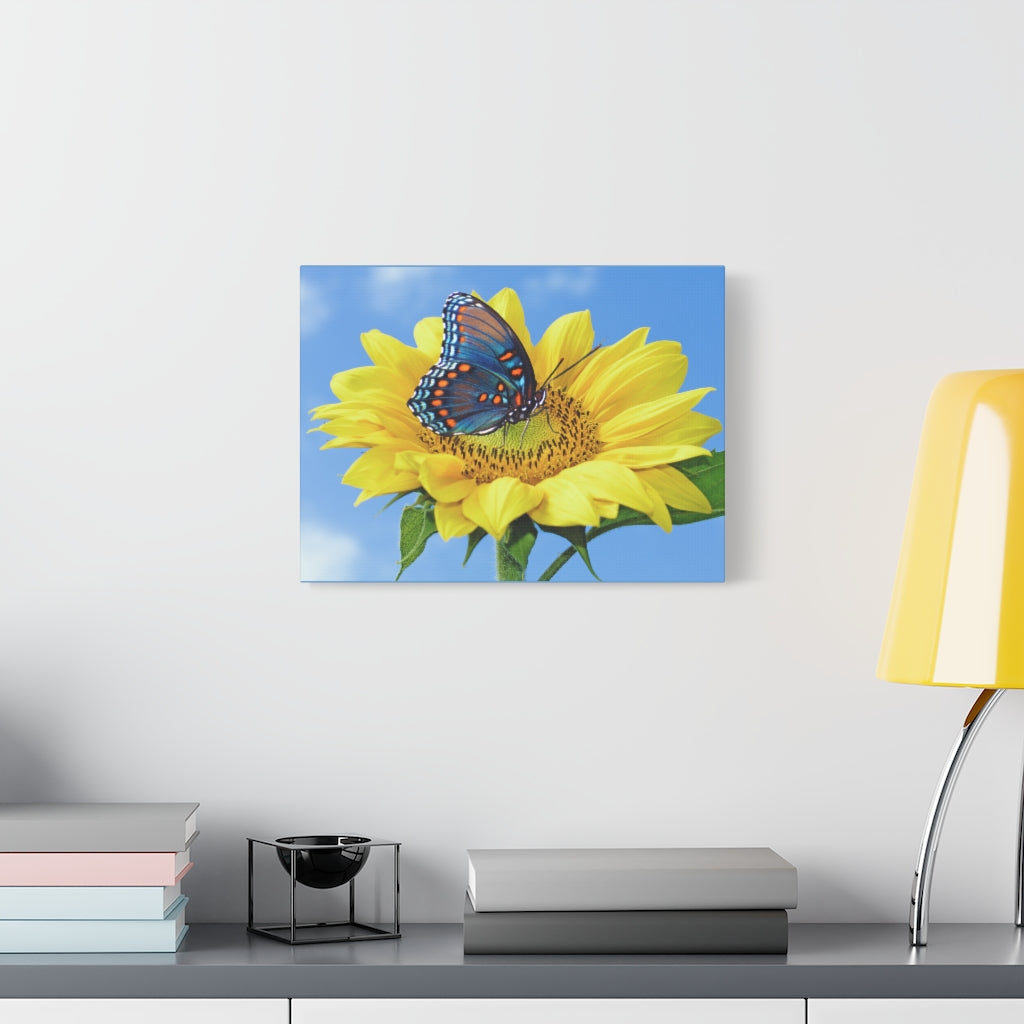 Sunflower and Butterfly Canvas