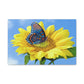 Sunflower and Butterfly Canvas