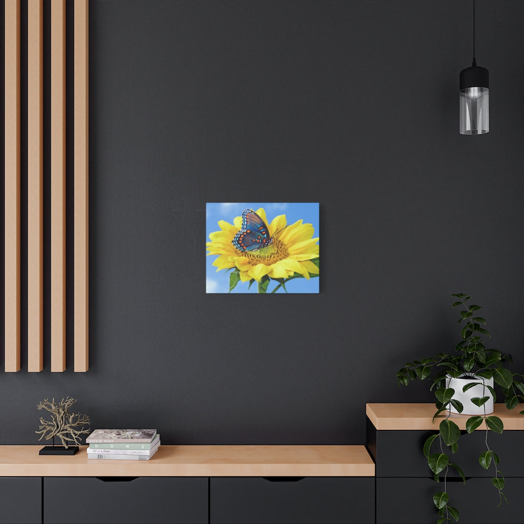 Sunflower and Butterfly Canvas