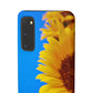 Snap Cases