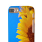 Snap Cases