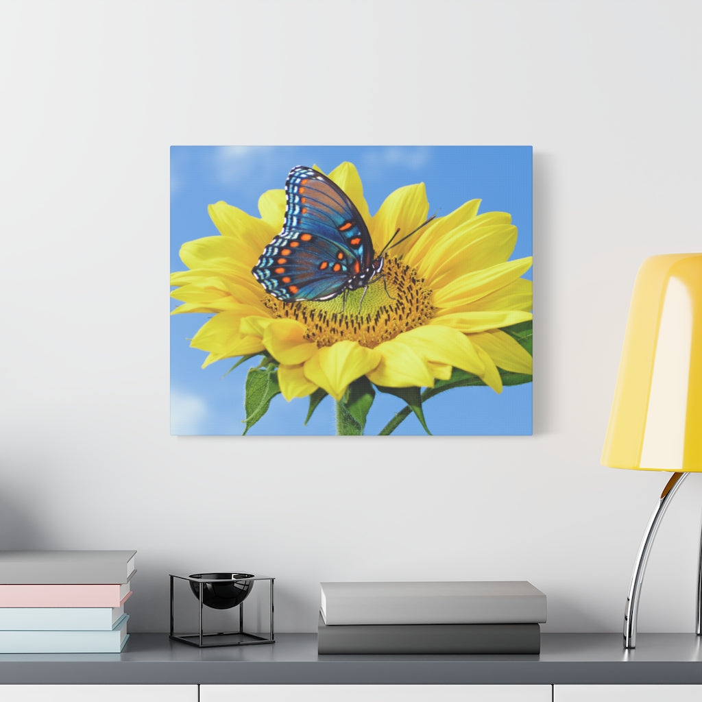 Sunflower and Butterfly Canvas