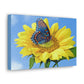 Sunflower and Butterfly Canvas