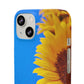 Snap Cases