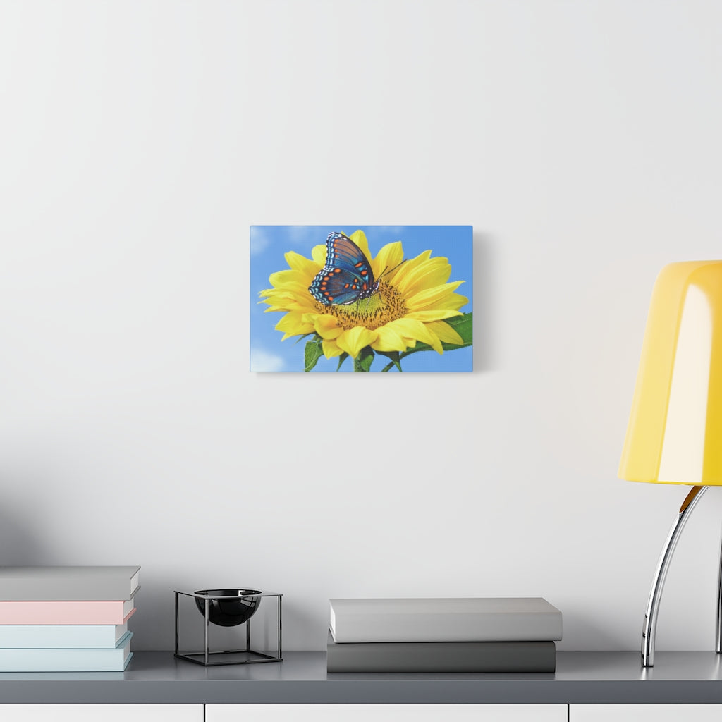 Sunflower and Butterfly Canvas