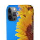 Snap Cases