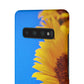 Snap Cases